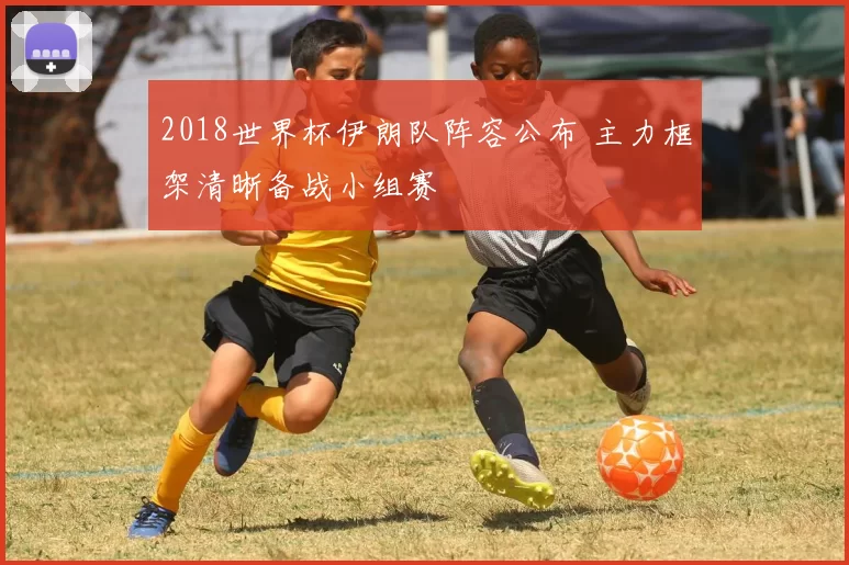 2018世界杯伊朗队阵容公布 主力框架清晰备战小组赛