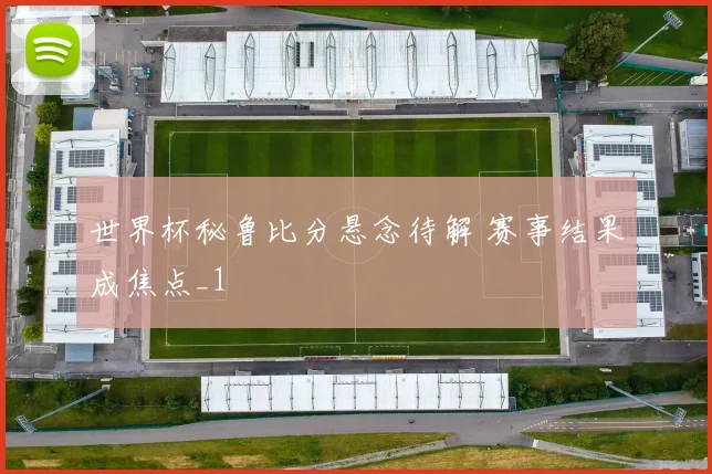 世界杯秘鲁比分悬念待解 赛事结果成焦点_1
